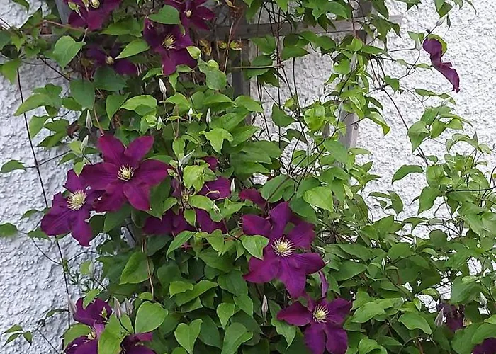 Murtalhof Niederdorf (Leoben)